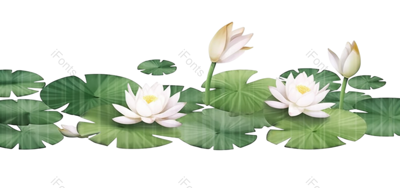 叶子图片,荷花元素,传统PNG,插画免抠素材